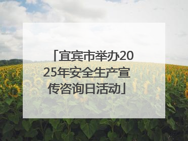 宜宾市举办2025年安全生产宣传咨询日活动