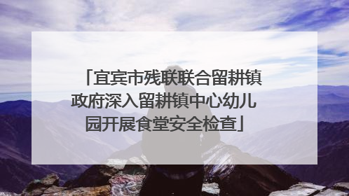 宜宾市残联联合留耕镇政府深入留耕镇中心幼儿园开展食堂安全检查