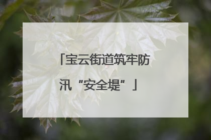 宝云街道筑牢防汛“安全堤”