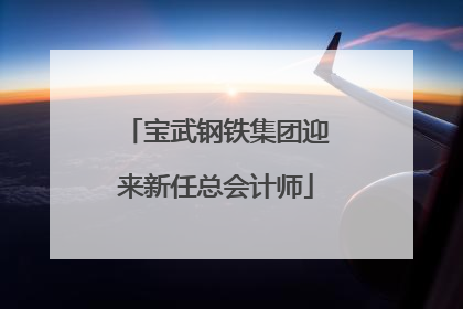 宝武钢铁集团迎来新任总会计师