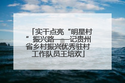 实干点亮“明星村”振兴路——记贵州省乡村振兴优秀驻村工作队员王培欢