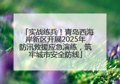实战练兵！青岛西海岸新区开展2025年防汛救援应急演练，筑牢城市安全防线