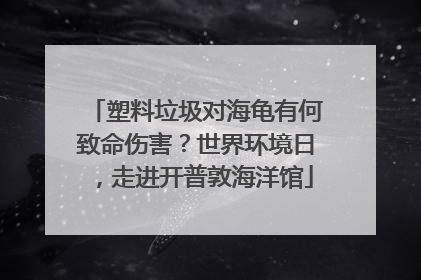 塑料垃圾对海龟有何致命伤害？世界环境日，走进开普敦海洋馆