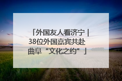 外国友人看济宁｜38位外国嘉宾共赴曲阜“文化之约”