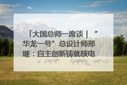 大国总师一席谈｜“华龙一号”总设计师邢继：自主创新铸就核电“国家名片”