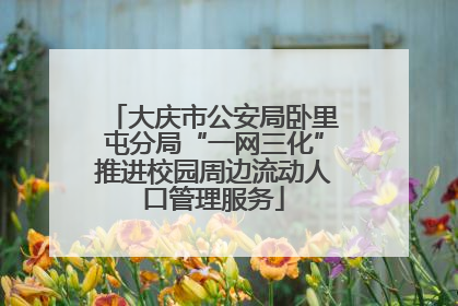 大庆市公安局卧里屯分局“一网三化”推进校园周边流动人口管理服务