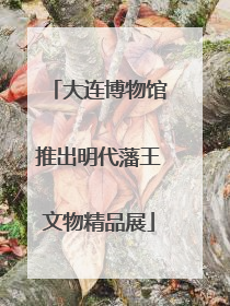 大连博物馆推出明代藩王文物精品展