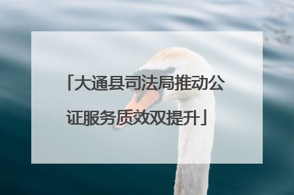 大通县司法局推动公证服务质效双提升