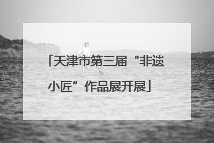 天津市第三届“非遗小匠”作品展开展