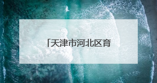 天津市河北区育婴里小学国际象棋共建基地启航