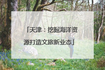 天津：挖掘海洋资源打造文旅新业态