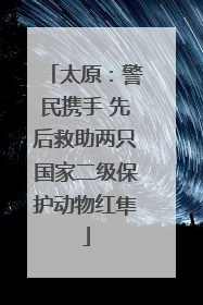 太原：警民携手 先后救助两只国家二级保护动物红隼