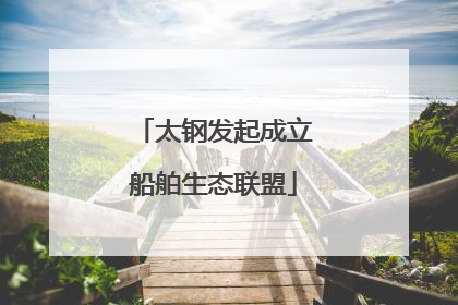 太钢发起成立船舶生态联盟