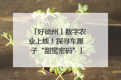 好德州丨数字农业上线！探寻车厘子“甜蜜密码”
