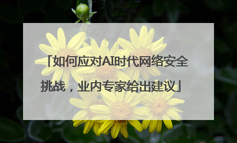 如何应对AI时代网络安全挑战，业内专家给出建议