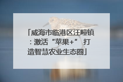 威海市临港区汪疃镇：激活“苹果+” 打造智慧农业生态圈