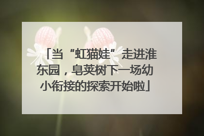 当“虹猫娃”走进淮东园，皂荚树下一场幼小衔接的探索开始啦