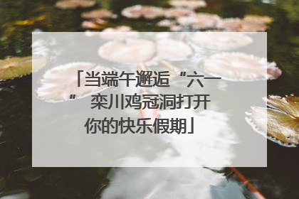 当端午邂逅“六一” 栾川鸡冠洞打开你的快乐假期
