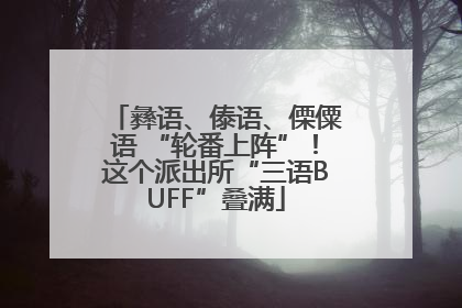 彝语、傣语、傈僳语 “轮番上阵”！这个派出所“三语BUFF”叠满