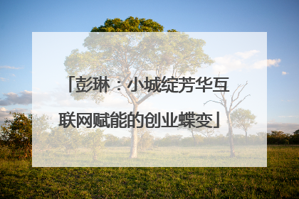 彭琳：小城绽芳华互联网赋能的创业蝶变