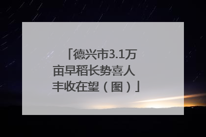 德兴市3.1万亩早稻长势喜人 丰收在望（图）