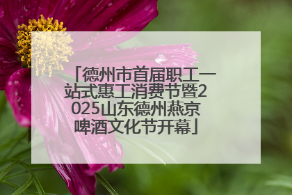德州市首届职工一站式惠工消费节暨2025山东德州燕京啤酒文化节开幕