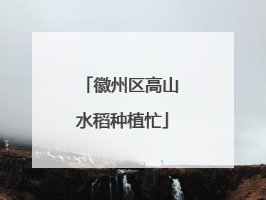 徽州区高山水稻种植忙
