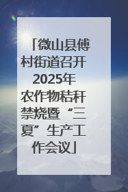 微山县傅村街道召开2025年农作物秸秆禁烧暨“三夏”生产工作会议