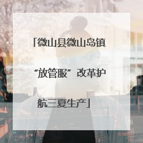 微山县微山岛镇“放管服”改革护航三夏生产