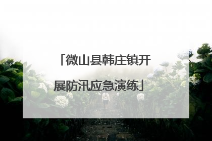 微山县韩庄镇开展防汛应急演练