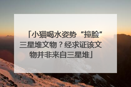 小猫喝水姿势“撞脸”三星堆文物？经求证该文物并非来自三星堆