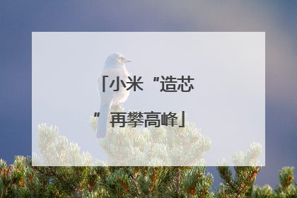 小米“造芯”再攀高峰