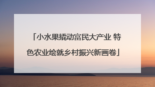 小水果撬动富民大产业 特色农业绘就乡村振兴新画卷