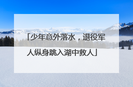 少年意外落水，退役军人纵身跳入湖中救人