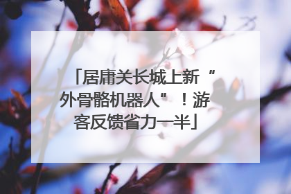 居庸关长城上新“外骨骼机器人”！游客反馈省力一半
