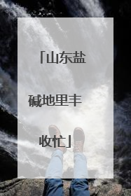 山东盐碱地里丰收忙
