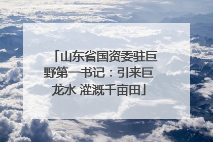 山东省国资委驻巨野第一书记：引来巨龙水 灌溉千亩田