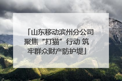 山东移动滨州分公司聚焦“打猫”行动 筑牢群众财产防护堤