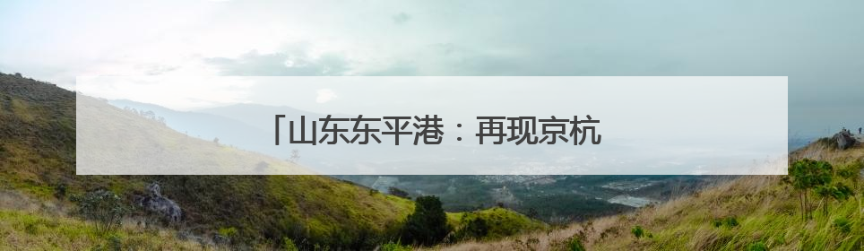 山东东平港：再现京杭运河“黄金水道”盛景