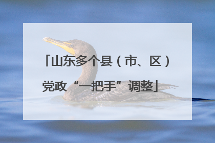 山东多个县（市、区）党政“一把手”调整