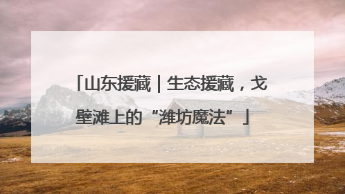 山东援藏｜生态援藏，戈壁滩上的“潍坊魔法”