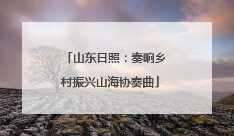 山东日照：奏响乡村振兴山海协奏曲