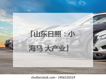 山东日照：小海马 大产业
