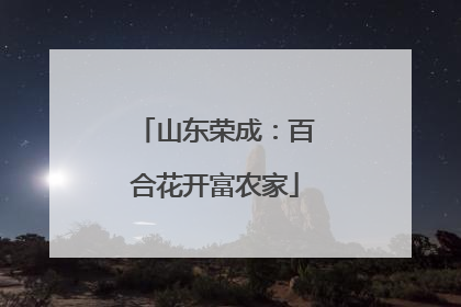 山东荣成：百合花开富农家