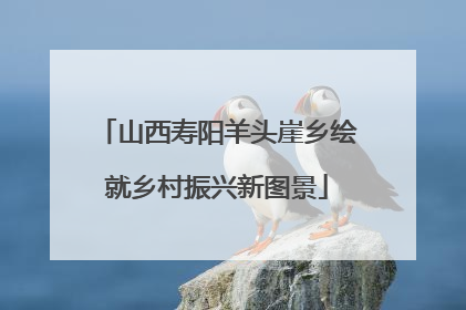 山西寿阳羊头崖乡绘就乡村振兴新图景