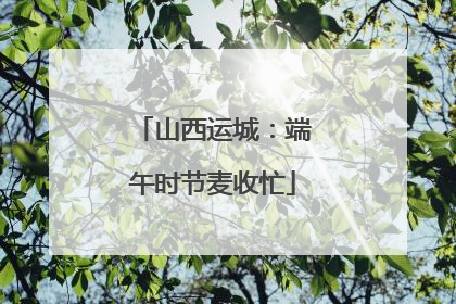 山西运城：端午时节麦收忙