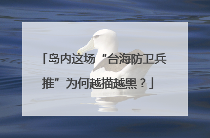 岛内这场“台海防卫兵推”为何越描越黑？