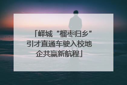 峄城“榴枣归乡”引才直通车驶入校地企共赢新航程