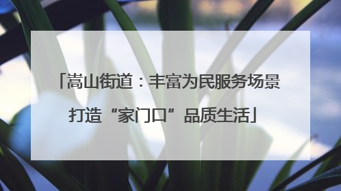 嵩山街道：丰富为民服务场景 打造“家门口”品质生活