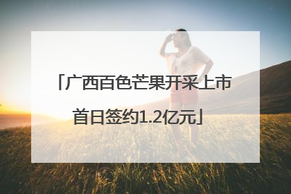 广西百色芒果开采上市 首日签约1.2亿元